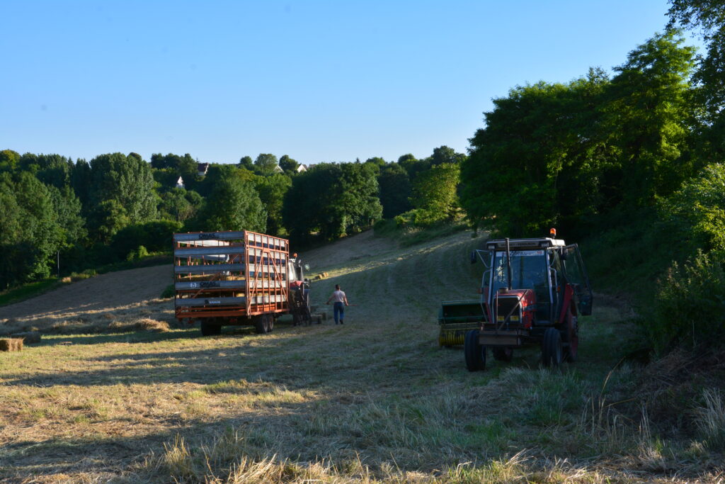 Vente directe de foin à la ferme de Cambronne les Clermont dans l'Oise. Prix attractifs et de qualité.