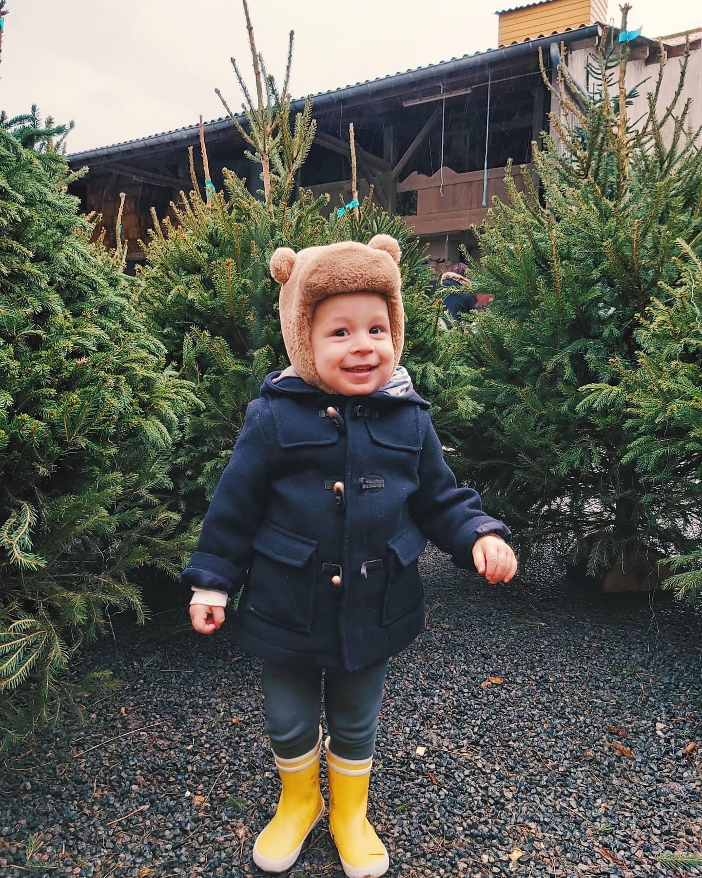 Vente directe de sapins de noël à la ferme de Cambronne les Clermont dans l'Oise - Prix attractifs - Epicéa - Nordmann