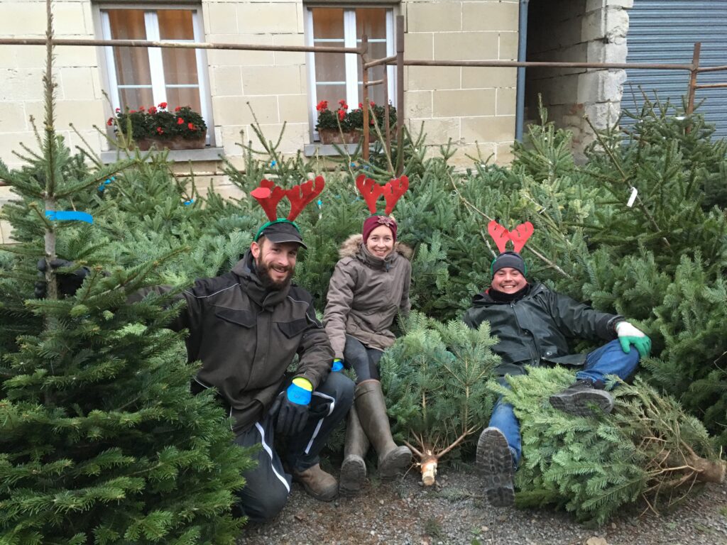 Vente directe de sapins de Noël à la ferme Bollé de Cambronne les Clermont dans l'Oise. Prix attractifs et de qualité.