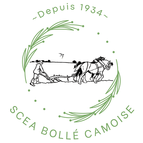 Ferme Bollé camoise